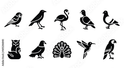 Vector silhouette illustration a collection of birds including a flamingo and a peacock