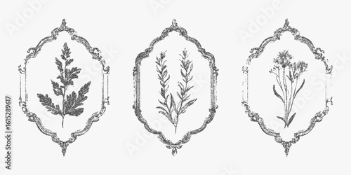 Three flower designs in black frame. Vintage stipple drawing, noisy halftone shading, photocopy look and threshold edges, old print vibe.