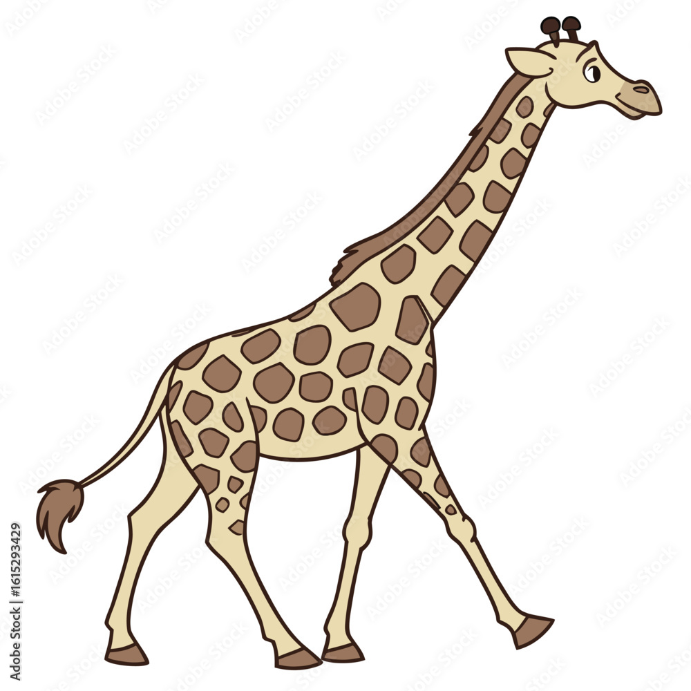 Young wild giraffe with long neck and brown spots standing on a white background Young wild giraffe with long neck and brown spots standing on a white background