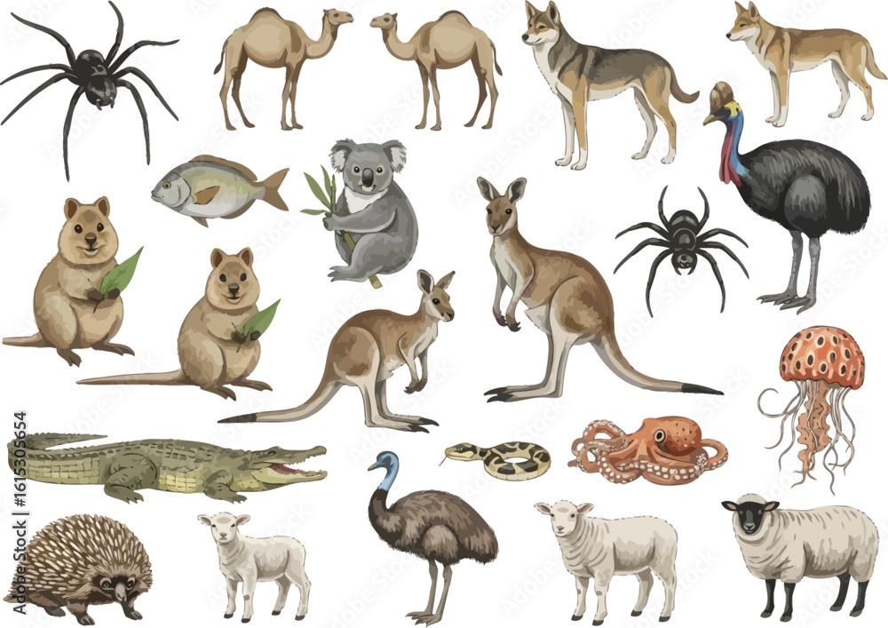 Obraz premium Diverse collection of australian wildlife and insects featuring kangaroos koalas emus crocodiles and spiders