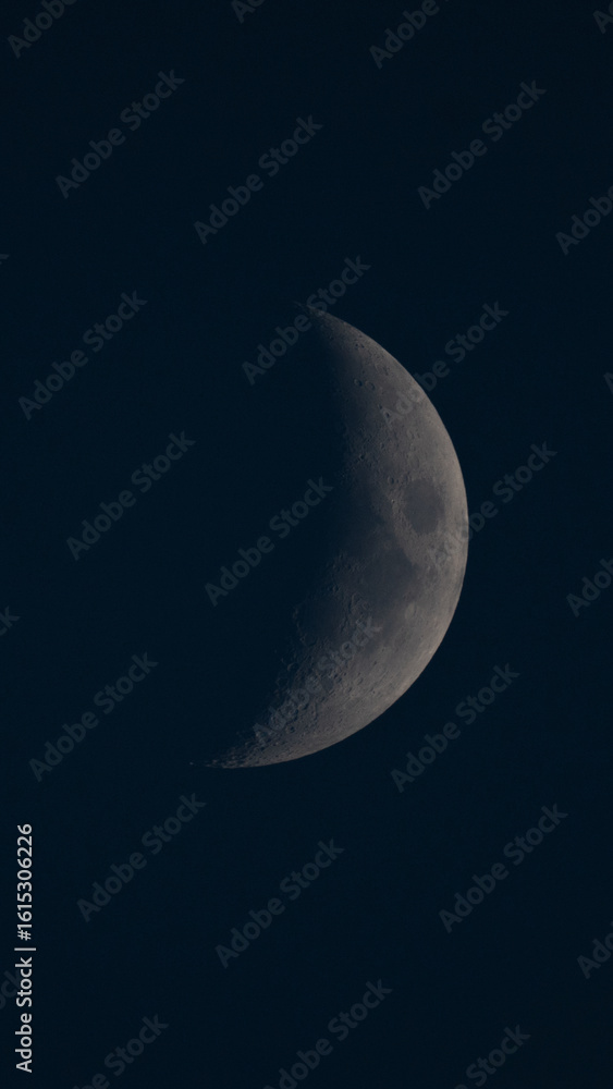 Naklejka premium Moon