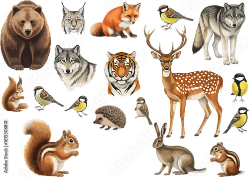 Collection of european wildlife animals including bear fox deer wolf boar squirrel birds and hedgehog