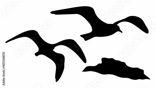 Silhouette illustration of two birds flying above a land mass in black and white simple design style