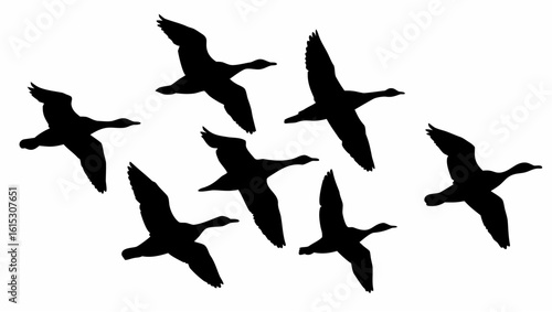 Silhouette illustration of a flock of ducks flying in formation against a white background in simple style