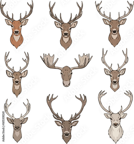 Isolated a kinds of deferent dear head vector art  with white background.