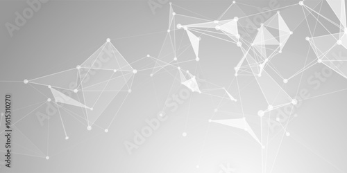 Abstract monochrome banner with a low poly plexus design 0507
