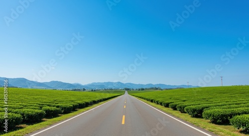 Straight asphalt road flanked by green fields under a clear blue sky, mountains far away