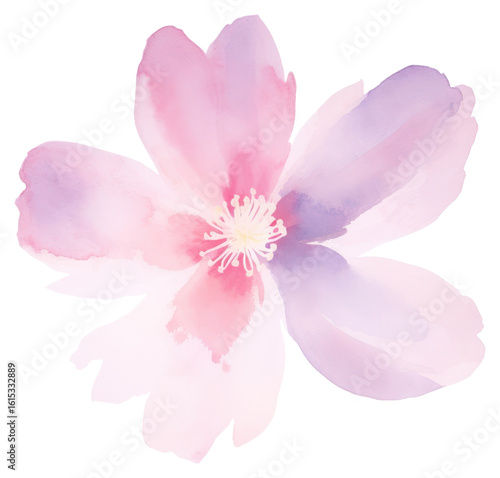 PNG Watercolor flower blossom petal plant.