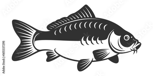 Black and white carp fish illustration aquatic animal