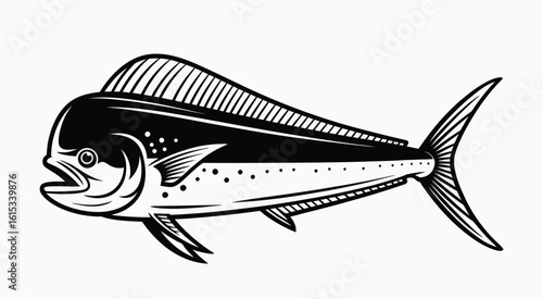 Black and white illustration of a mahi fish marine life