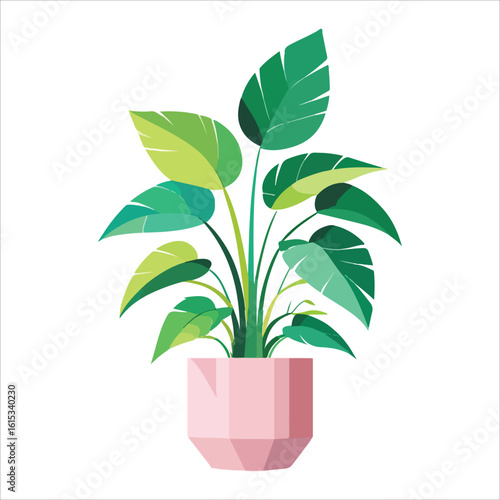 plant tree vector