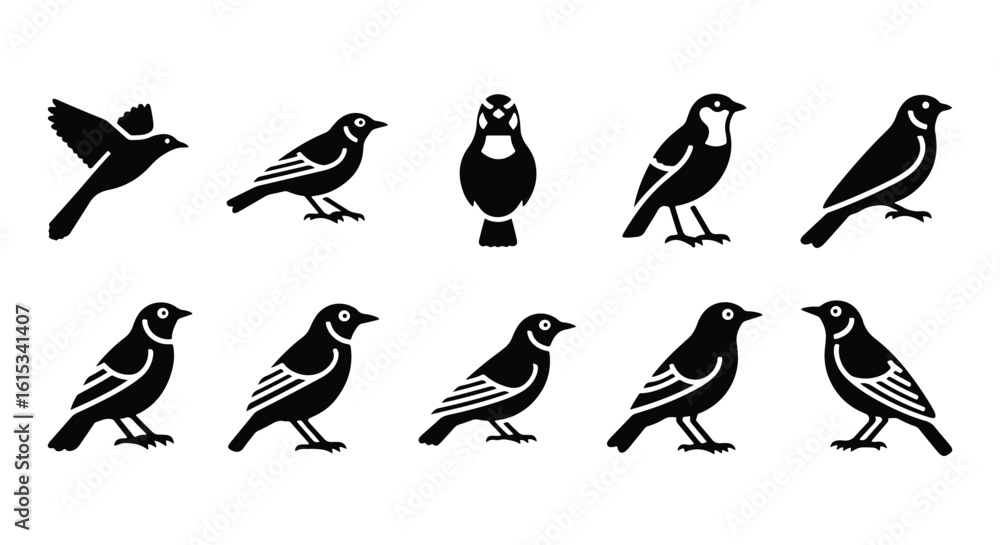 Fototapeta premium Silhouette set of black bird, sparrow, finch, avian silhouettes - Vector silhouette illustration