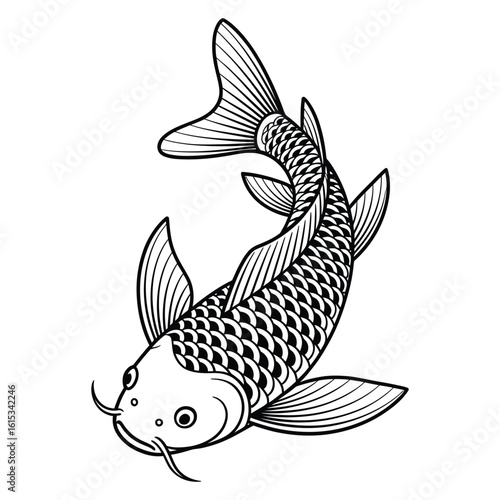Black and white line art illustration of a koi fish