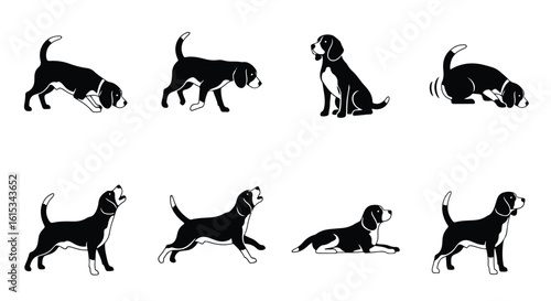 Vector silhouette illustration a black silhouette of a beagle dog with its head tilted back, howling, isolated on white background