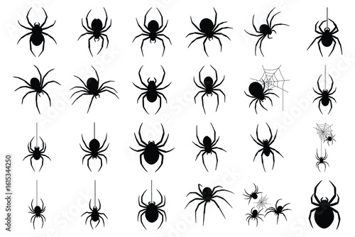 halloween web spider
