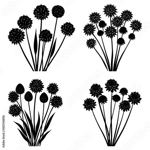 Four floral arrangements featuring stylized allium flowers in black silhouette on white background design element