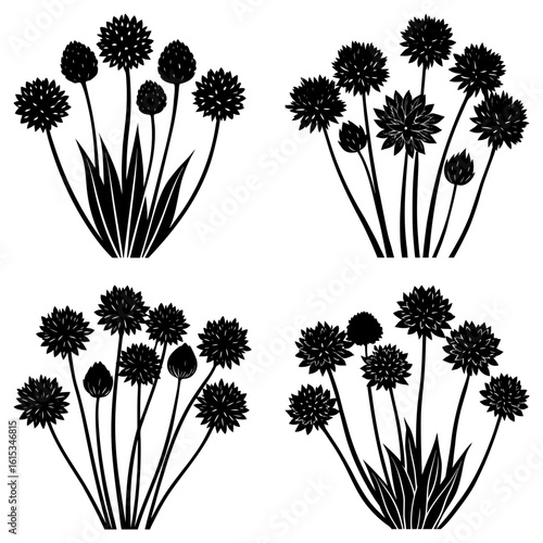 Four bunches of allium flowers in black silhouette with long stems and spiky spherical flower heads