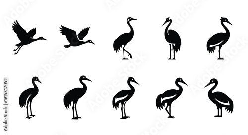 Vector silhouette illustration a black silhouette of a crane bird standing with long legs, isolated on a white background