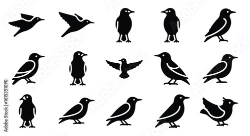 Vector silhouette illustration a silhouette of a bird with wings spread, isolated on white background