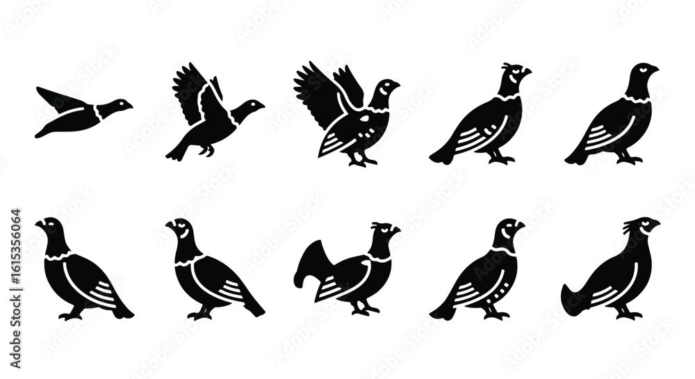 Fototapeta premium Silhouette illustration of a bird, grouse, pheasant isolated on a white background - Vector silhouette illustration