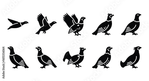 Silhouette illustration of a bird, grouse, pheasant isolated on a white background - Vector silhouette illustration