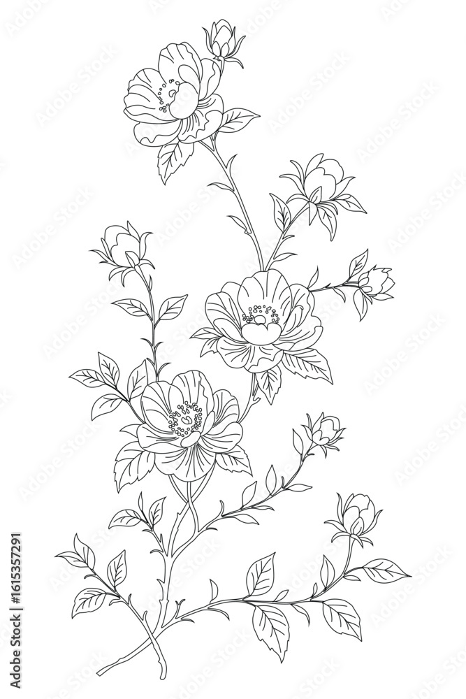 custom made wallpaper toronto digitalElegant Hand-Drawn Floral Line Art Illustration