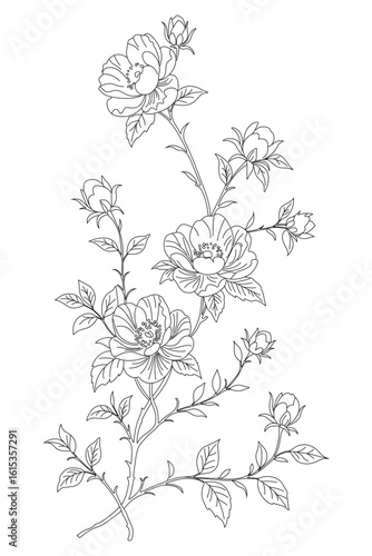 Wallpaper Mural Elegant Hand-Drawn Floral Line Art Illustration Torontodigital.ca