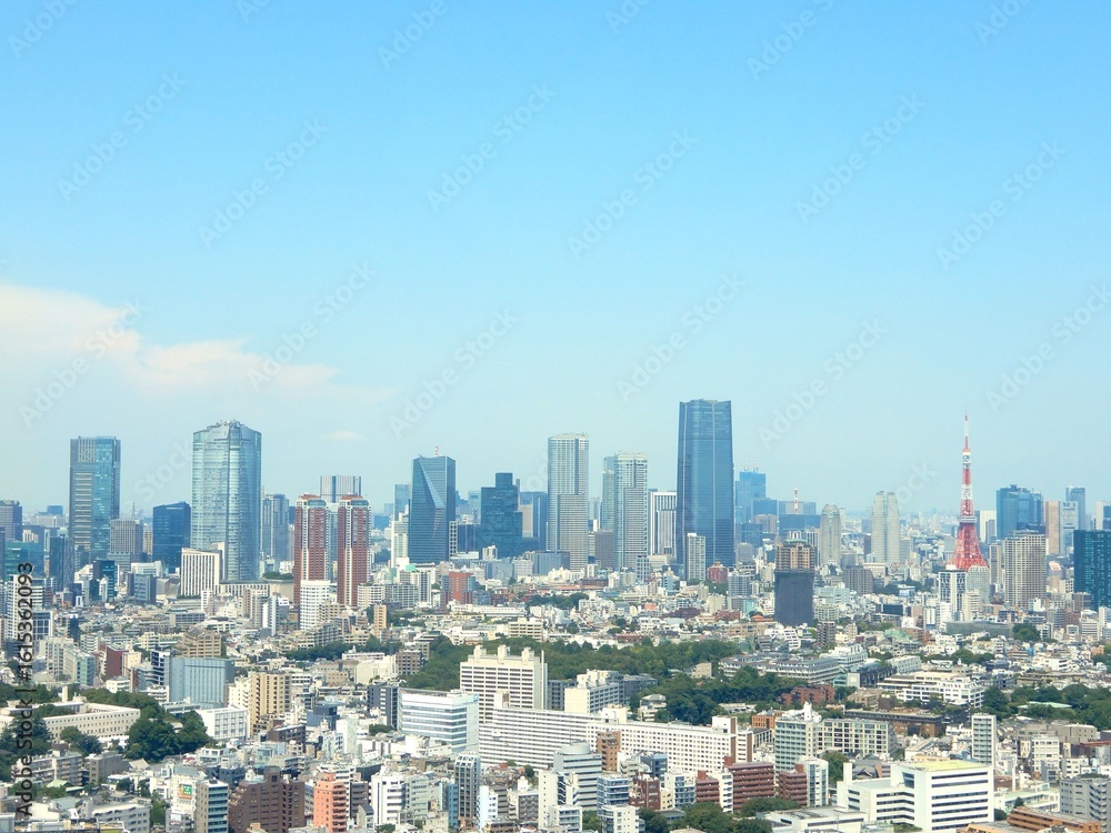 Fototapeta premium 恵比寿ガーデンプレイスタワーSKY LOUNGEから眺める東京の街並み