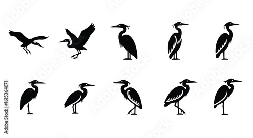 Vector silhouette illustration collection of heron silhouettes, one standing and one wading, isolated on white background
