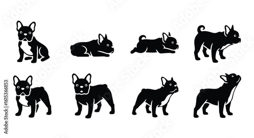 Vector silhouette illustration silhouettes of french bulldogs and pugs in various poses, isolated on white background