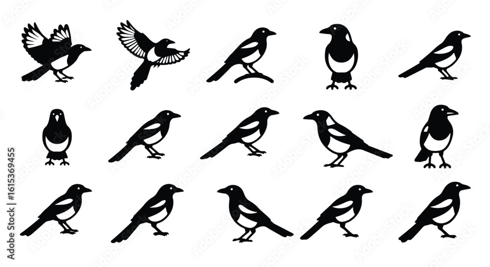 Fototapeta premium Vector silhouette illustration a black silhouette of a magpie bird perched on a branch, isolated on a white background