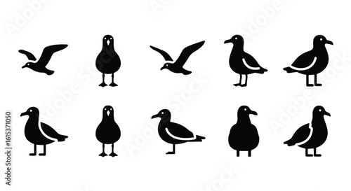Vector silhouette illustration silhouette of a seagull flying, isolated on white background