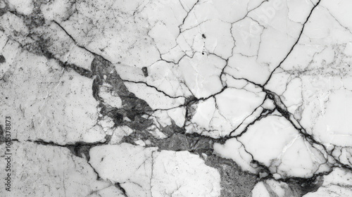 Fractured Neo-Tokyo Echoes of a Broken Future