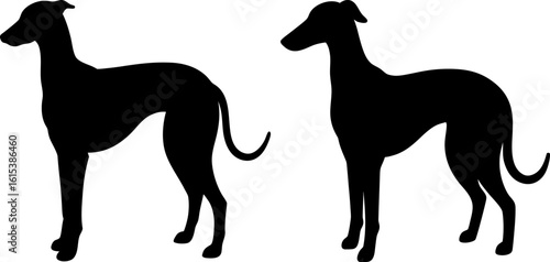 Black greyhound set, Set of greyhound dogs, greyhound dog collection, Vector of greyhound dogs, dogs animal silhouette, black dogs animal isolated on white background