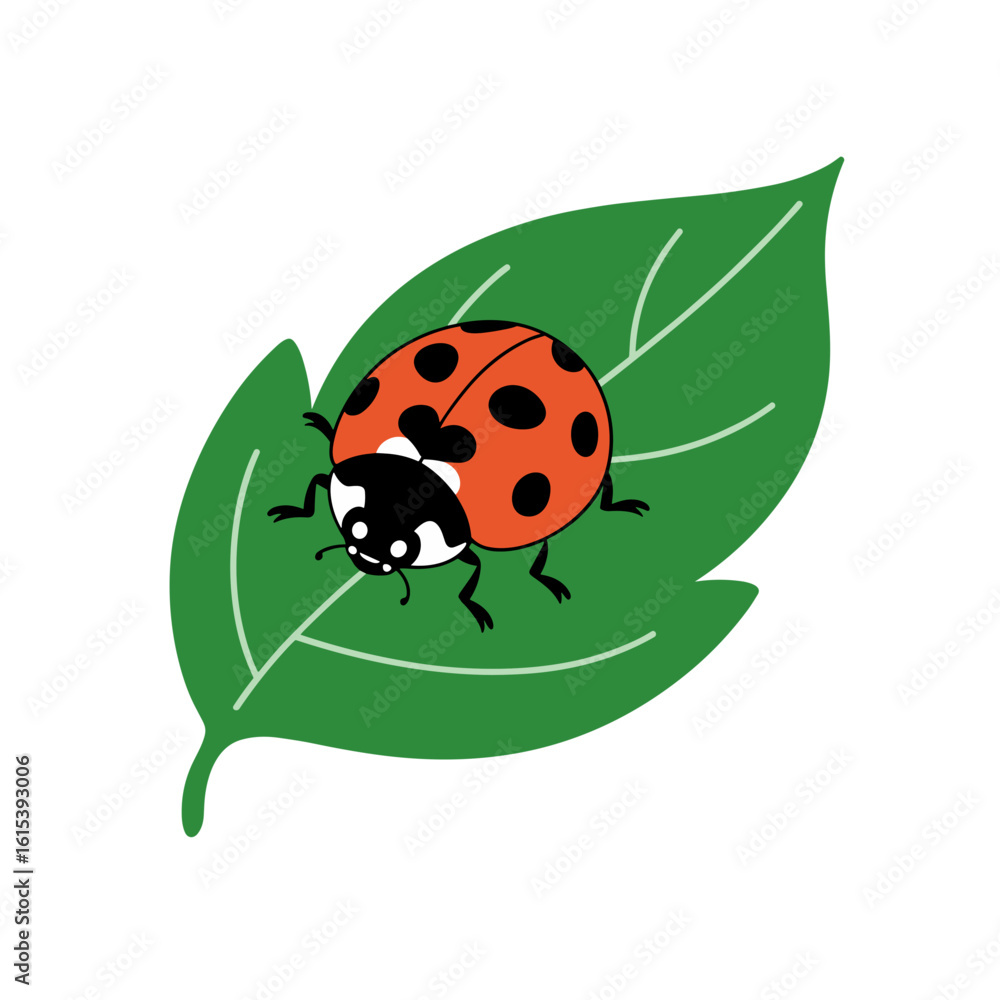 Fototapeta premium Ladybug on Leaf