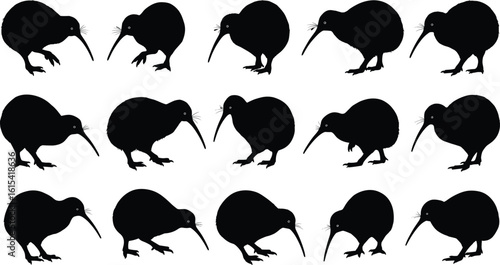 Kiwi bird silhouette collection, black vector animal icons, New Zealand flightless bird poses, exotic wildlife illustration set, nature graphic element, native fauna shape design
