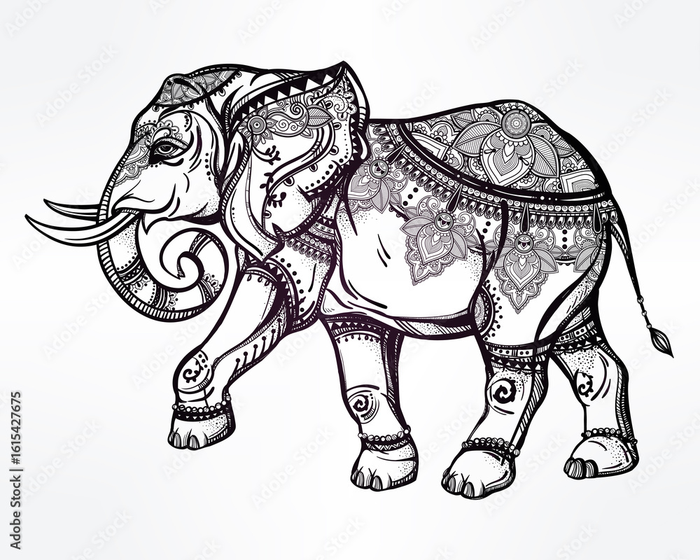 Obraz premium Hand drawn ornate elephant illustration.