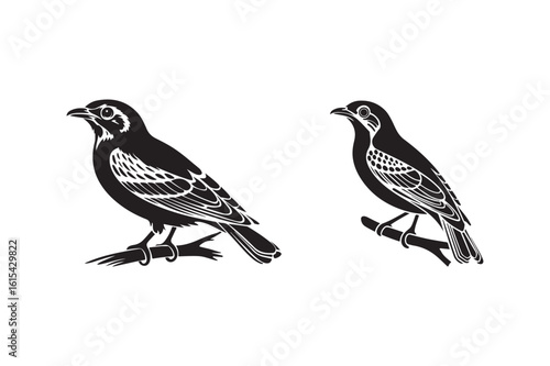 Two birds perched on branches silhouette
