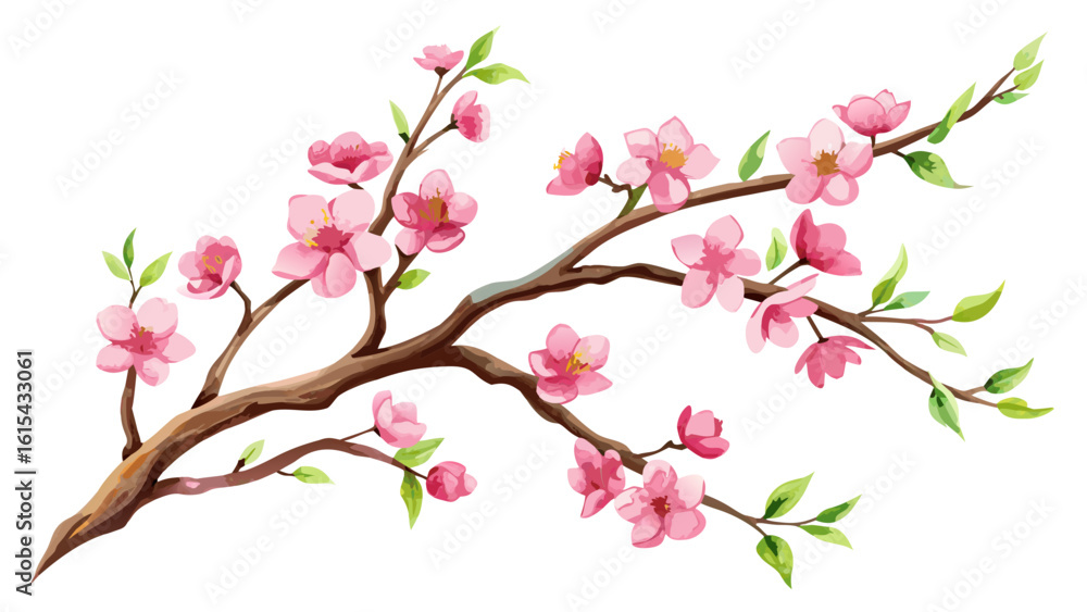 Vector art of a delicate pink cherry blossom branch with green leaves and buds, isolated on a white background Vector art of a delicate pink cherry blossom branch with green leaves and buds, isolated on a white background