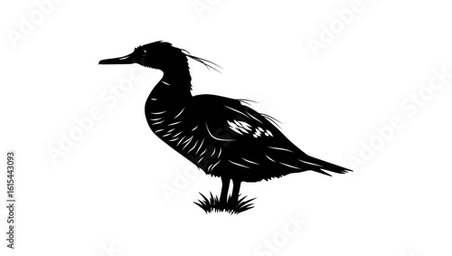 Brazilian Merganser, black isolated silhouette