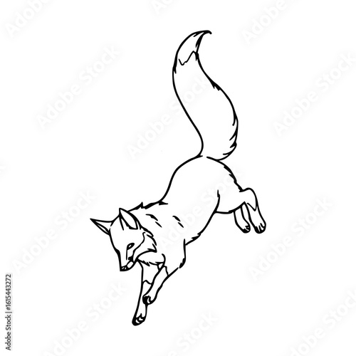 jumping fox outline vector
