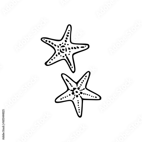 starfish pair line art