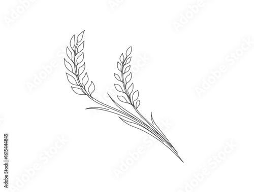 Barley or Rye in single line draw illustration. Continuous one line drawing of wheat product.