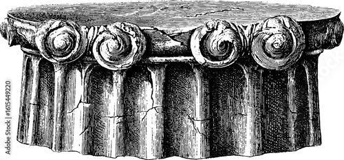 Engraved illustration of ancient greek ionic column capital design for historical art projects