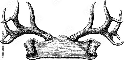 Vintage engraved illustration of antlers mounted on wood for rustic decor design