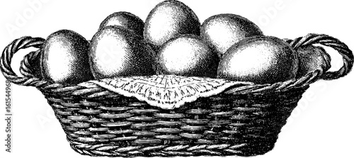 Vintage engraved illustration of basket with freshly laid eggs - perfect for design, print, or poster
