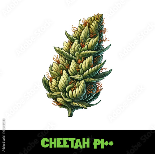 Vector Illustrated Cheetah Pi** Cannabis Bud Strain Cartoon