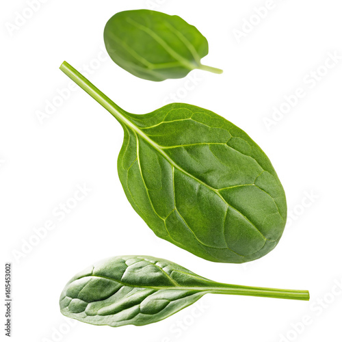 Fresh organic spinach leaves isolated on white background healthy green vegetable ingredient