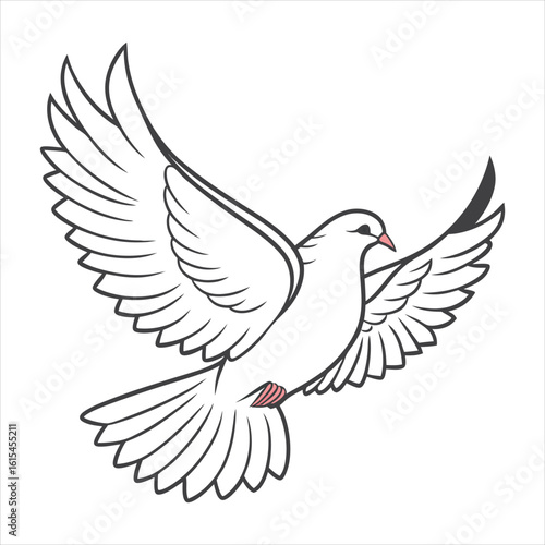 dove coloring