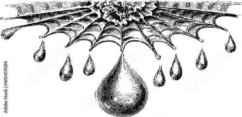 Intricate engraving of raindrop caught in spider web silhouette - retro design for nature art